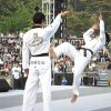 kyunghee_demo 75